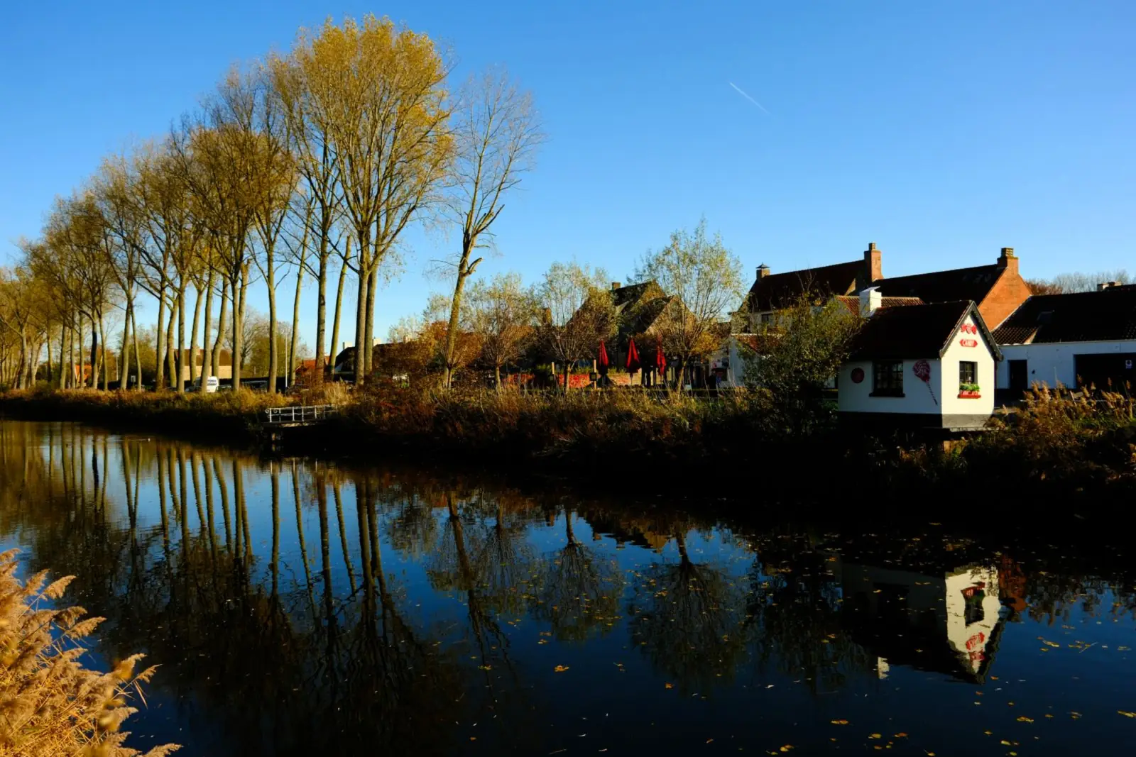 Kanaal bij Damme met een rij hoge bomen, huizen aan de oever en weerspiegeling in het water